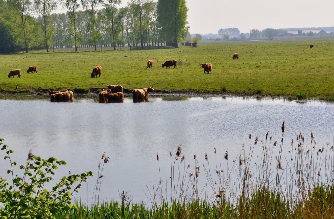 Artistiek Vakantiehuisje Hulst Exterior foto